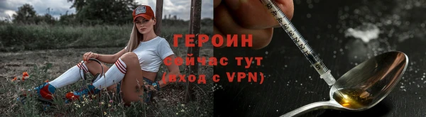 индика Вязьма