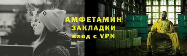 индика Вязьма