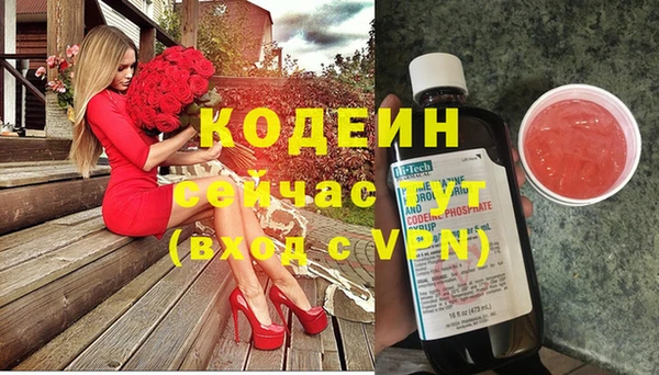 индика Вязьма