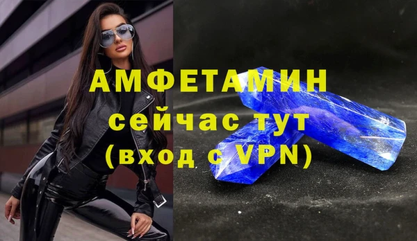 индика Вязьма