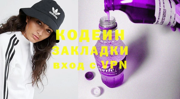 индика Вязьма