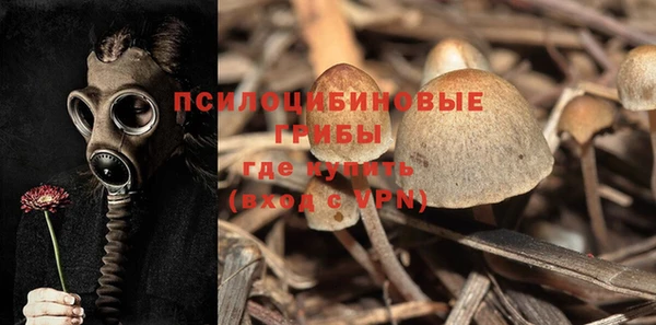 индика Вязьма