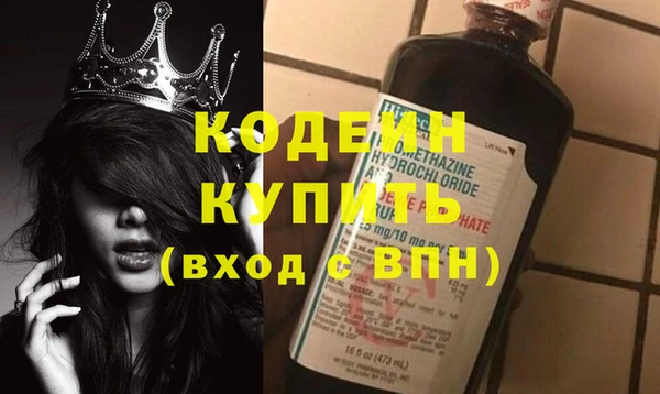 индика Вязьма