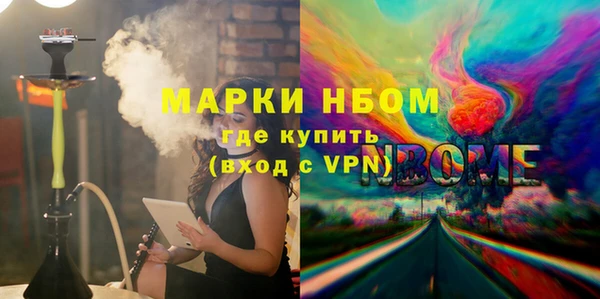 индика Вязьма