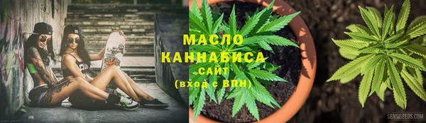 индика Вязьма