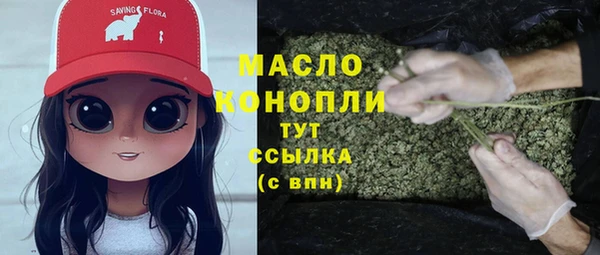 индика Вязьма