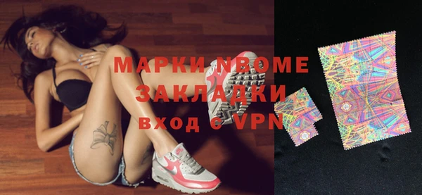 индика Вязьма