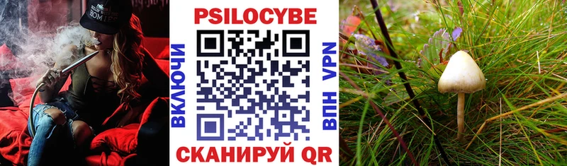 мега ссылка Батайск Псилоцибиновые грибы GOLDEN TEACHER